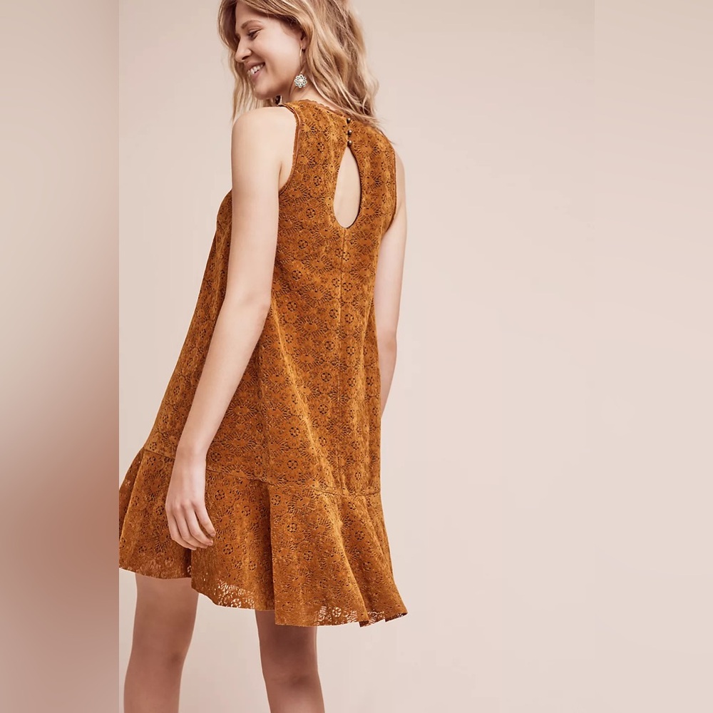 Maeve Mustard Lace Mini Dress - Picture 4 of 8